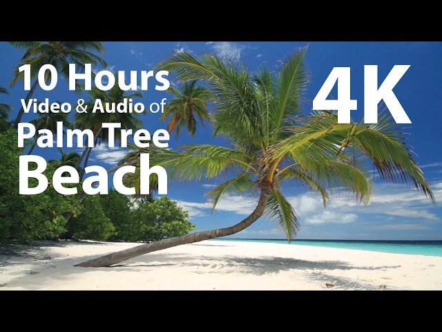 4K UHD 10 hours - Tropical Beach & Gentle Birds/Waves Audio window - relaxing, meditation, nature