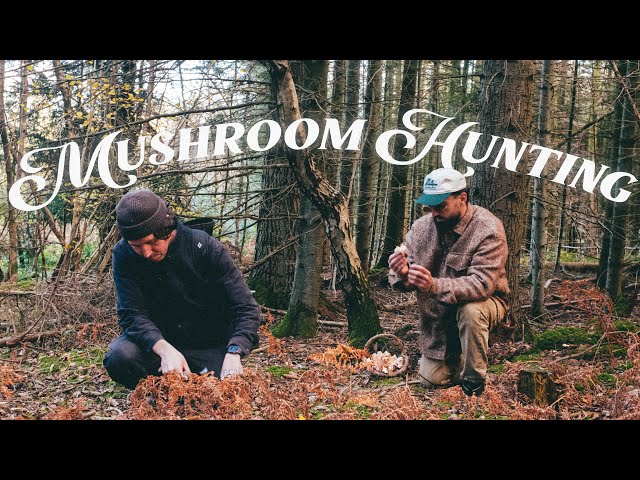 Hunting & Cooking In The Woods; Winter Survival Food 🍄