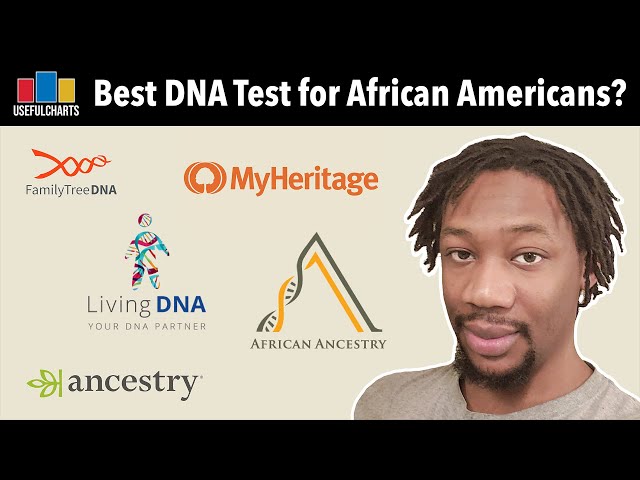 Which DNA test is best for African Americans?