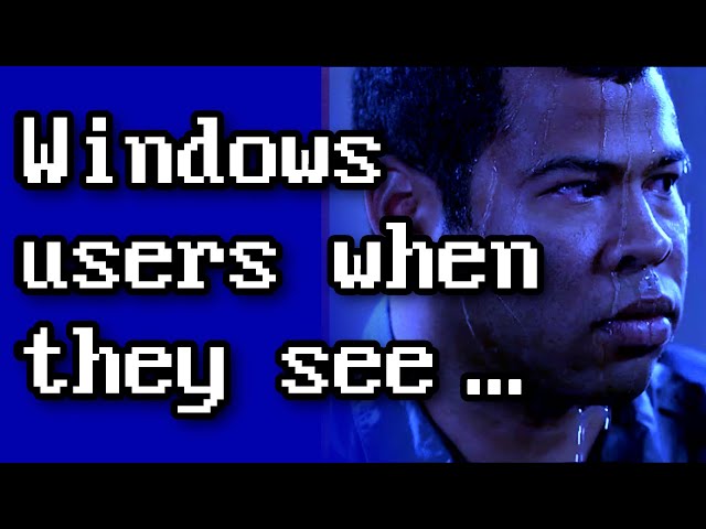 MS Windows Slander