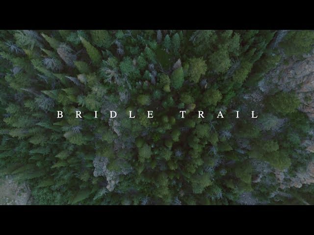 BRIDLE TRAIL HIKE | Oil City News Vlog