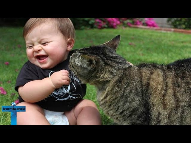 Most Adorable & Cute & Funny Baby Animals Enjoying Compilation