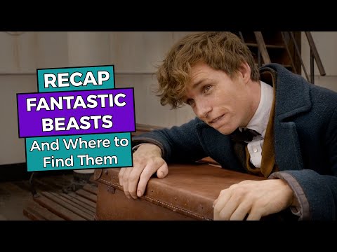 Fantastic Beasts RECAPS