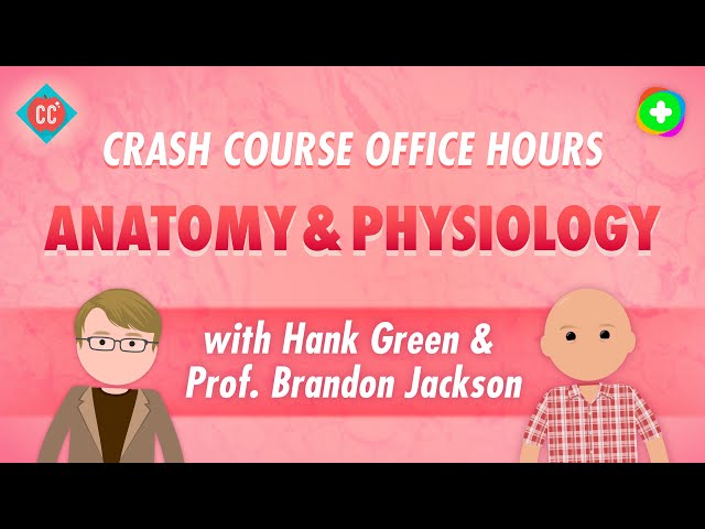 Crash Course Office Hours: Anatomy & Physiology