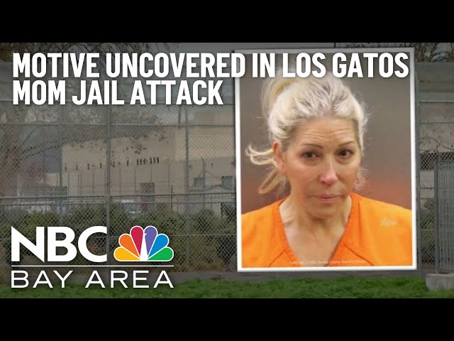 Exclusive Motive uncovered in Los Gatos mom jail attack