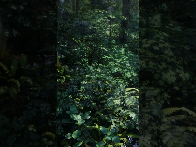 Skyrim 2023 Photorealistic Remake - Beautiful 4k Atmospheric Forests4 ..  #skyrim2023  #photorealism
