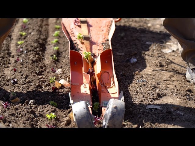 Bed Prep and Transplanting with the Paper Pot Transplanter