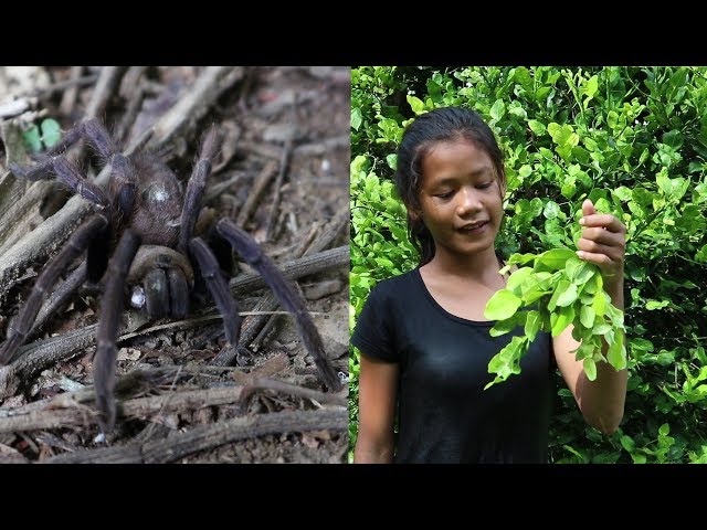 Cooking Black spider with Orange leaves for food, Primitive Survival Skills ep 07