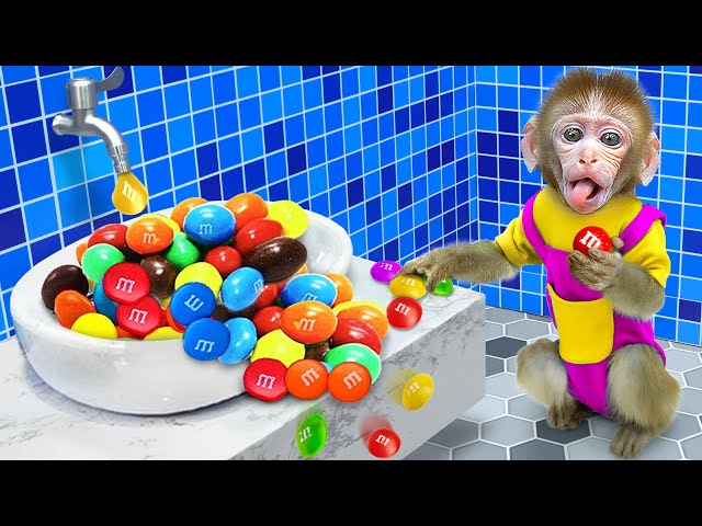 KiKi Monkey earning money by selling M&M Candy he gets from bathroom | KUDO ANIMAL KIKI