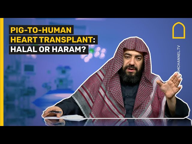 Pig-to-human heart transplant: Halal or Haram?