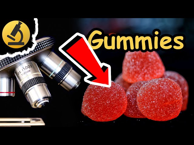 Gummies Under the Microscope!