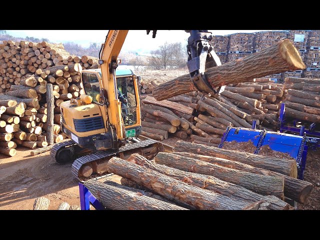 Process of Mass Producing 10,000 Tons of Oak Firewood. Largest Firewood Manufacturing Factory