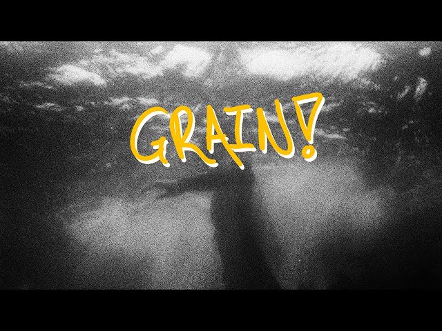 Testing My New Film Camera Underwater - Nikonos iii