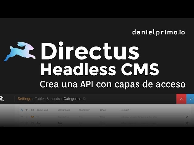 Crea una API con capas de acceso con Directus Headless CMS