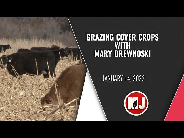 Grazing Cover Crops | Mary Drewnowski | January 14, 2022