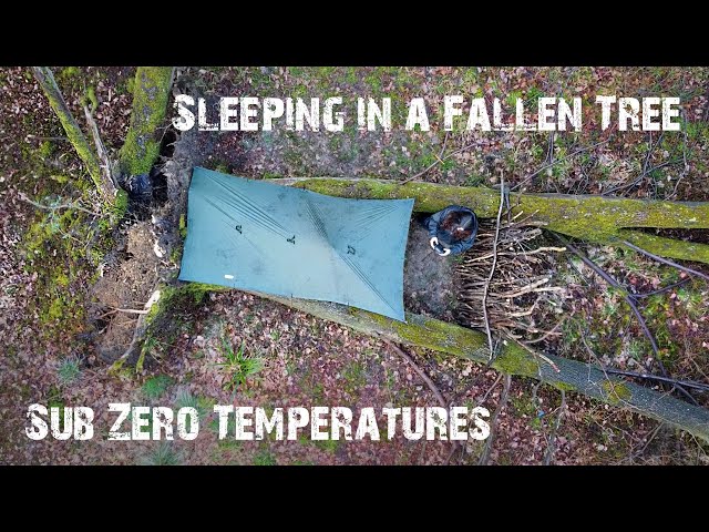 Sleeping in a Fallen Tree ❄️🌳 Frosty Sub-Zero Wild Camping with Small Tarp