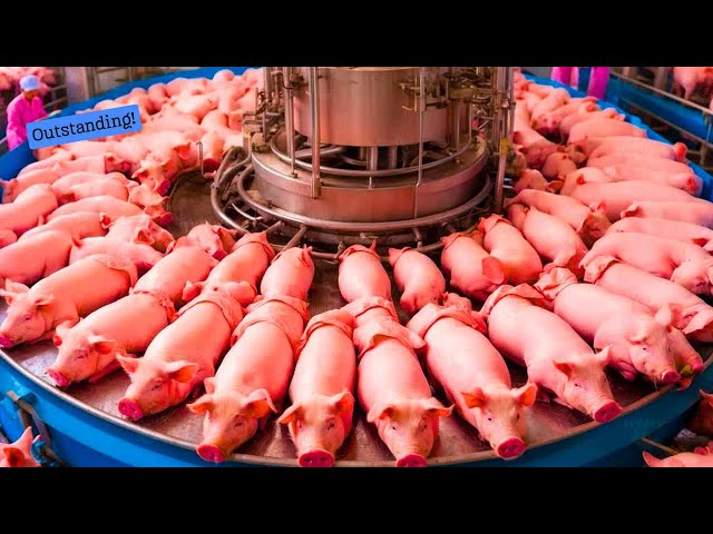 145 Satisfying Videos👍🏻Mesmerizing Food Processing Machines That Will Blow Your Mind ►47