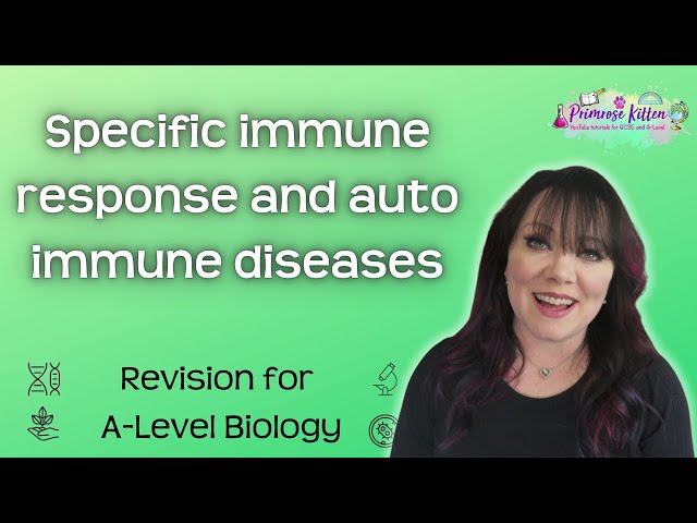 Specific immune response and auto immune diseases | Revision for Biology A-Level