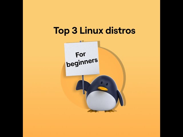 Best Linux distros for beginners #linux #shorts #ubuntu