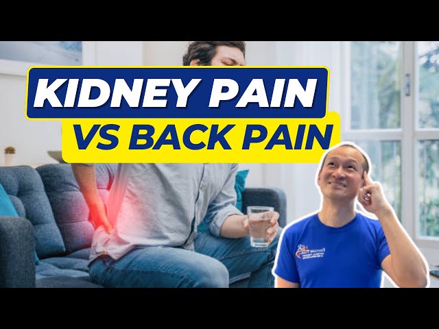 How To Differentiate Kidney Pain and Back Pain (KNOW IT IN LESS THAN A MINUTE!)