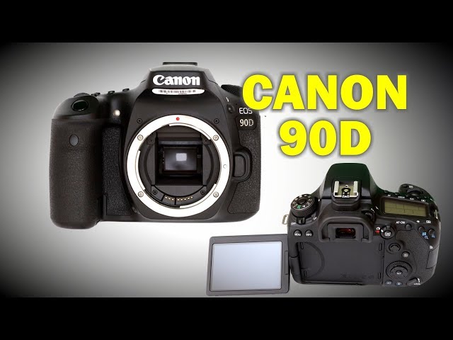 Обзор Canon 90D (и сравнение с Canon R)