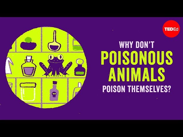 Why don’t poisonous animals poison themselves? - Rebecca D. Tarvin