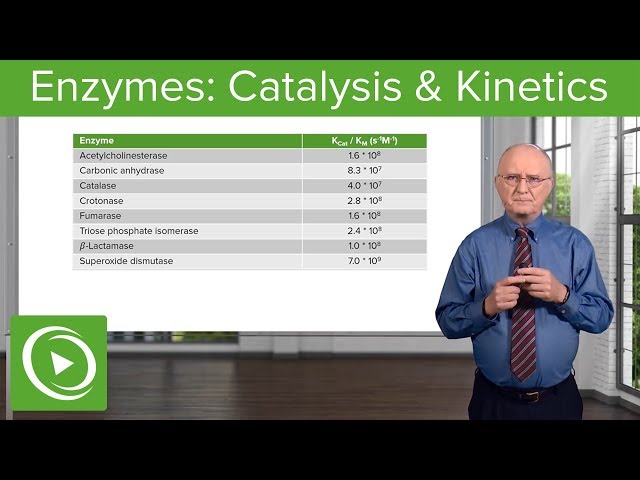 Enzymes: Catalysis, Kinetics & Classification – Biochemistry | Lecturio