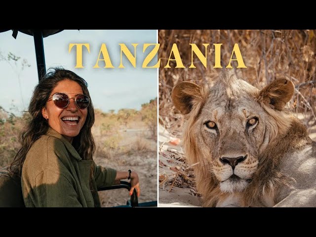 Safari of a Lifetime | Tanzania Cinematic Documentary