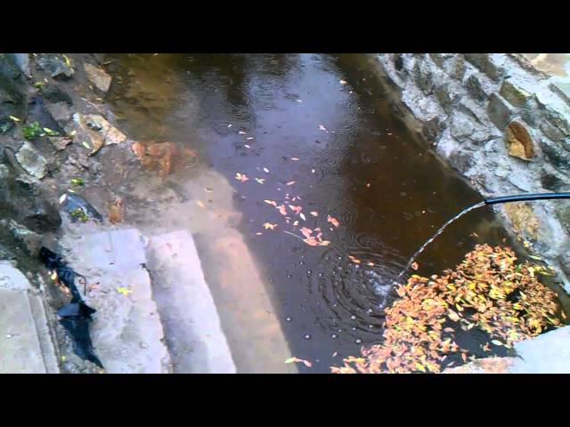 Catching rainwater - rainwater pond