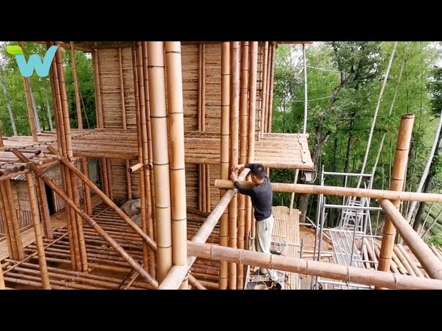 The boy builds a two-story by bamboo villa house | WU Vlog ▶ 41
