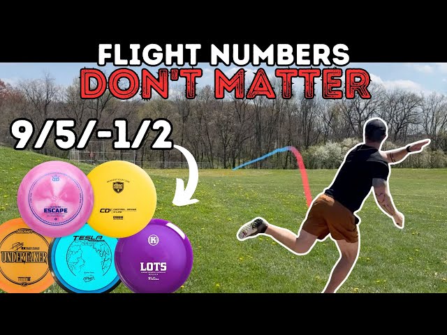 Putting workhorse fairway drivers to work... 15 Disc Comparison | Flight Numbers Don’t Matter