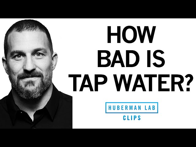 How Bad Is Tap Water for Health? | Dr. Andrew Huberman