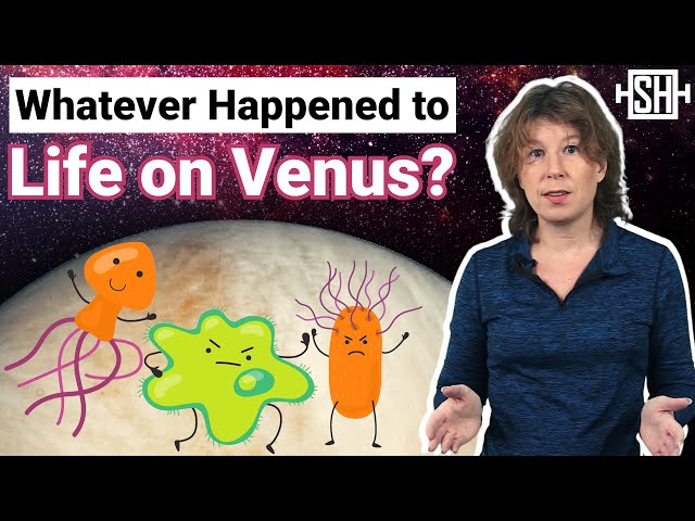 Whatever Happened to Life on Venus?