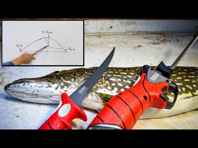 The Only NORTHERN PIKE FILLET Tutorial You'll Ever Need!