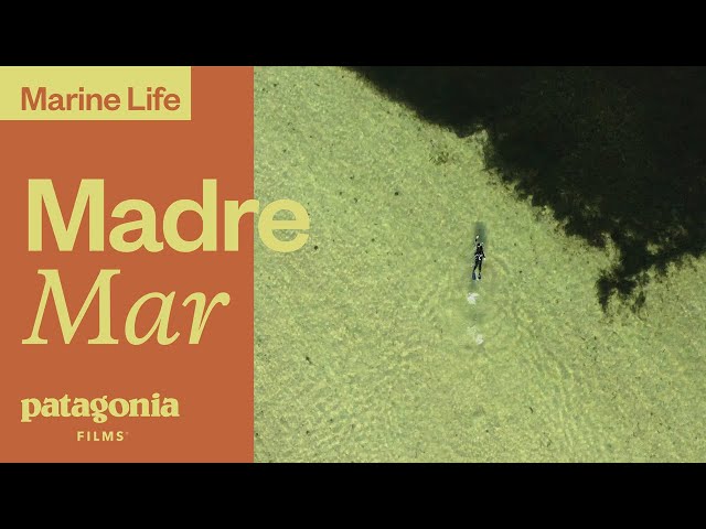 Madre Mar | Patagonia Films