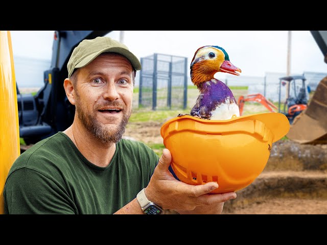 The Exotic Aviary gets an EPIC Duck Pond (Day 1)