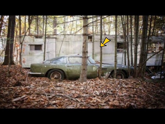 Woman Discovered An Abandoned Car In The Woods; When She Got Close, She Was Horrified.