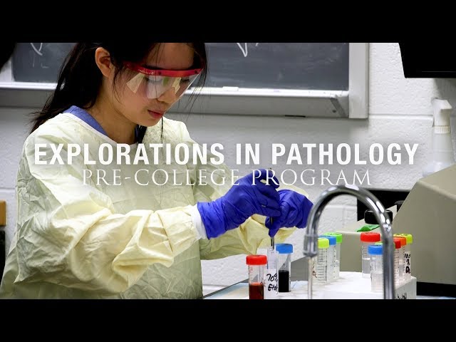 The University of Rochester's Pre-College Programs: Explorations in Pathology