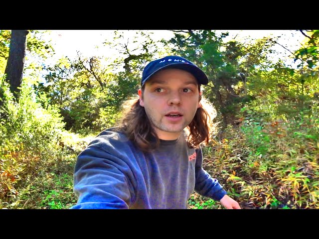 awkward forest vlog