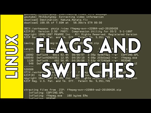 Flags, Switches, and Manual Pages - Introduction to Linux for Absolute Beginners #6