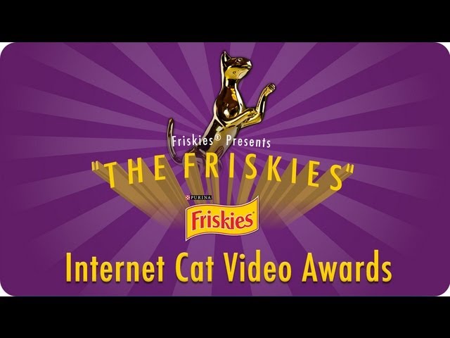 #TheFriskies Awards LIVE