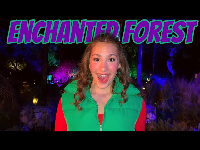 Enchanted Forest 🤩 *Magical*