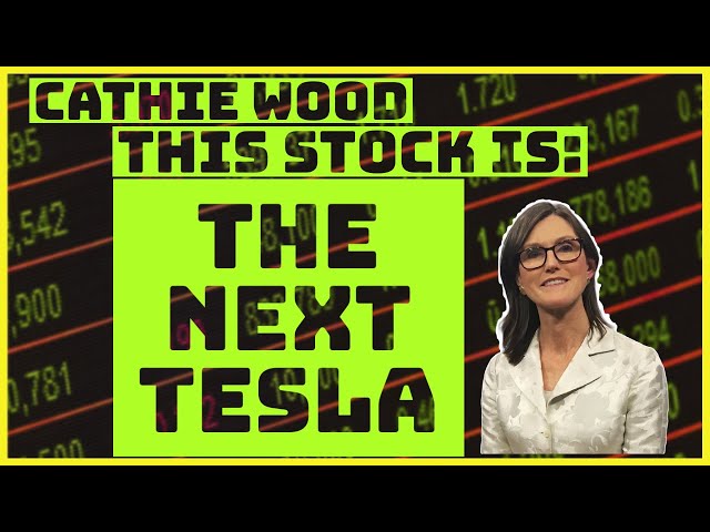 Cathie Wood: These Stocks Will Be The Next Tesla! (Full List Revealed)