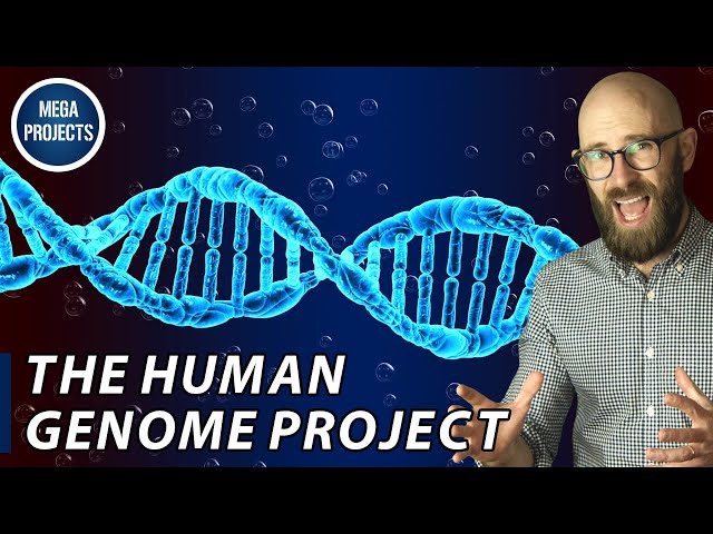 The Human Genome Project: The 13-Year Quest to Chart the Mysteries of Human Genetics