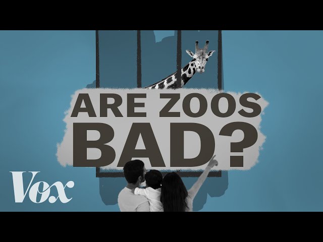How do we fix the zoo?