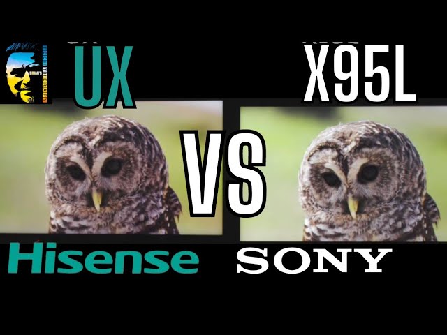 SONY X95L VS HISENSE UX LAND OF THE GIANTS!!