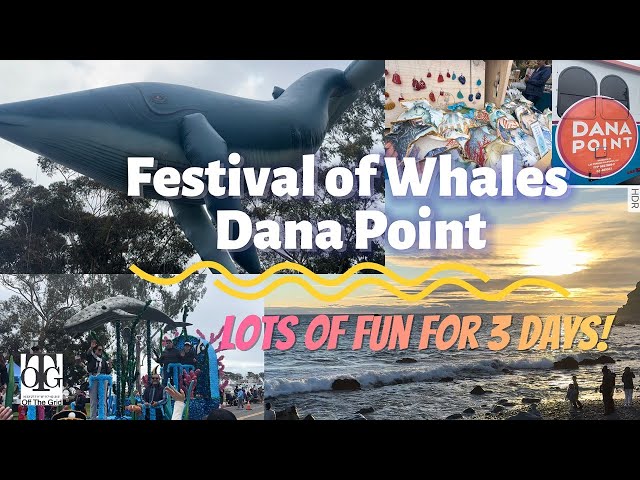 Festival of Whales Dana Point 2024 Highlights!