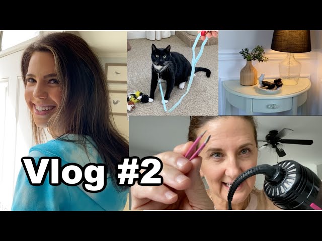 My Life Over 50 Vlog #2 // New Decor // New Cat Harness // Limited Skin Care // Painting Essentials