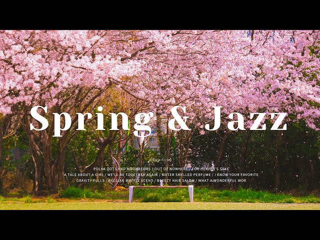 Playlist l 🌸 벚꽃 비 내리는 봄에 재즈를 들어야하는 이유ㅣSpringtime Street & Smooth Jazz Music for Work, Study, Focus