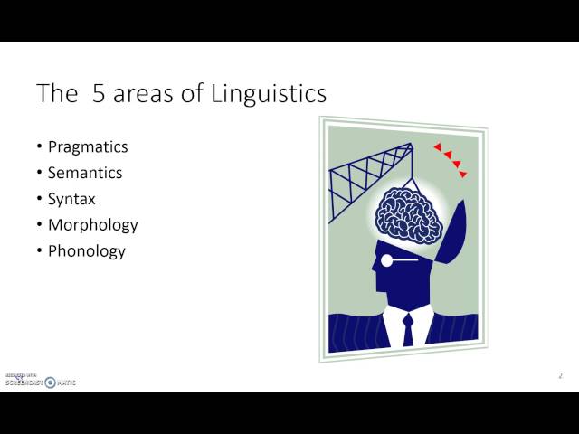 #4 Areas of Linguistics